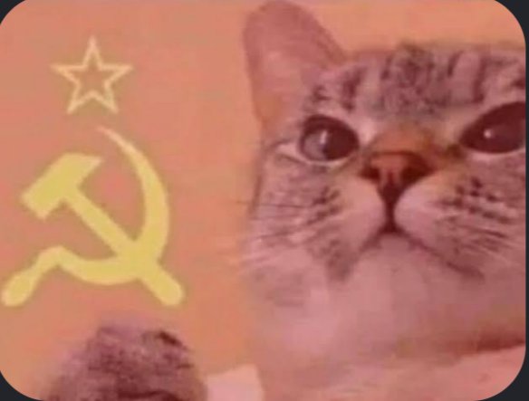 Dr_Marxist_27's tweet photo. Reset the algorithm with a communist timeline cleanser https://t.co/xYQ07YAopZ