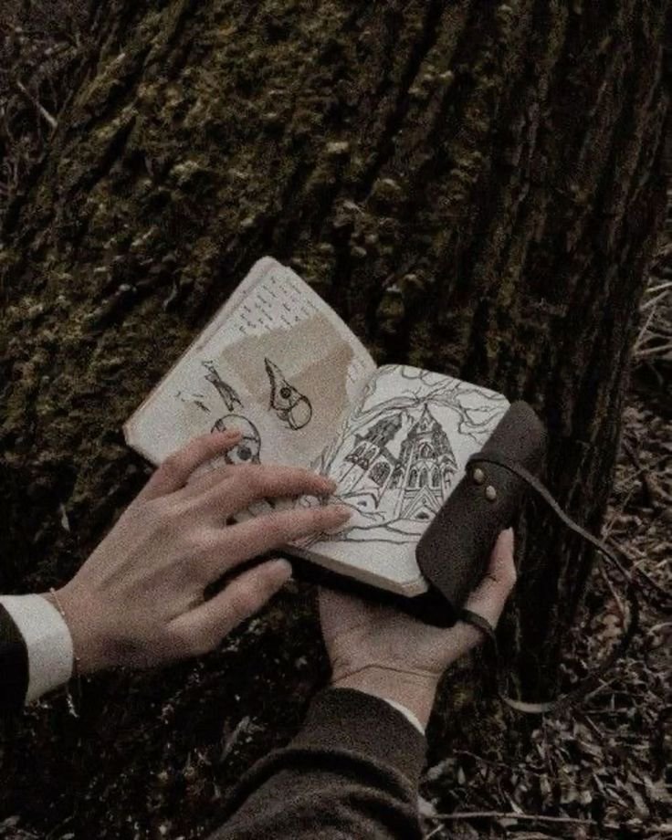 acervojym's tweet photo. para começar outubro e spooky season de vocês, vou indicar um livro com dark academia, arte, representatividade assexual e aquele narrador não confiável que amamos! 🕸️👻

📖: Não perturbe a floresta – CG Drews https://t.co/wjXZIWxVE4