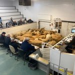 Photo by Ste. Rose Auction Mart (@srauction)