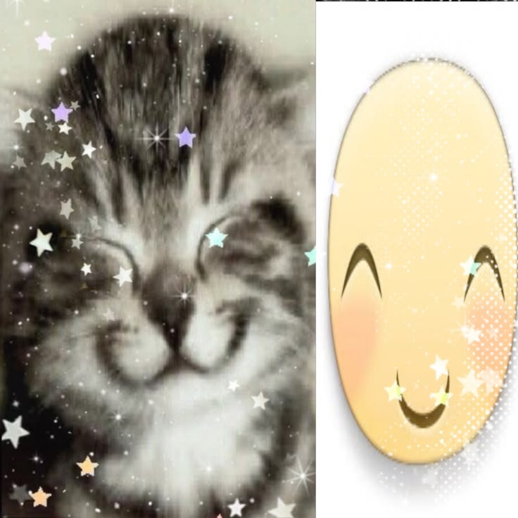 ankylops's tweet photo. @aguas_vc @isaac3523 @purinap07 @lmonbryy_ ME ENCANTA HERMANO, ENSERIO TE QUEDO HERMOSO, ESPERO Y ISAAC PUEDA VER ESTO https://t.co/4VWDUf3BVg