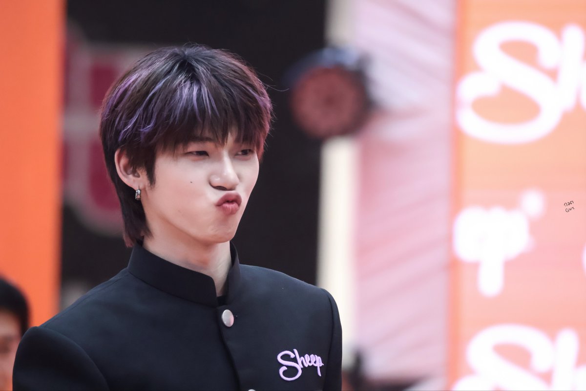 gravitysnap03's tweet photo. .., 🫳🏻🐶

            Not the best but still “อู๊ด” 🐽

— @twnpich , #twnpich ◌ 𓂂 𓈒♡

ྀི⑅ #SHEEPxTTP                  

          ⸌☻ັ⸍ #Gravitysnap 🫧 https://t.co/lBtn4O9eht