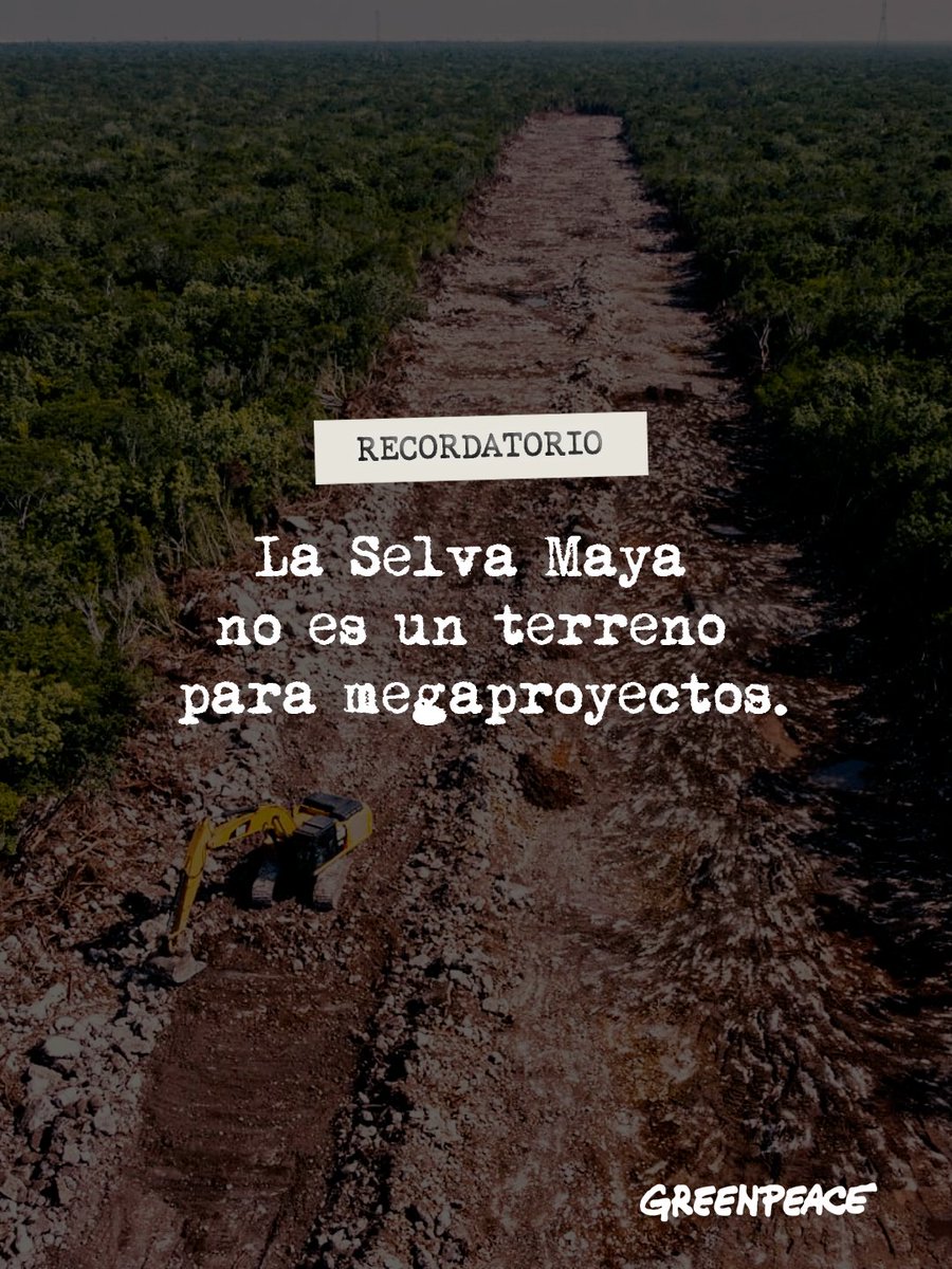 greenpeacemx's tweet photo. ⚠️Recordatorio⚠️

La Selva Maya sigue gritando a causa de los megaproyectos. 🔥 https://t.co/r9NKs3Dty8