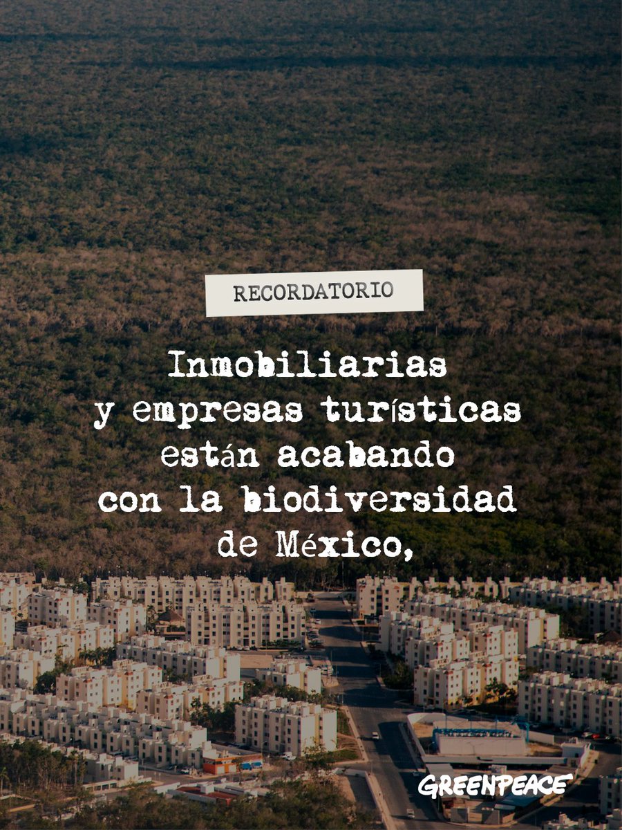 greenpeacemx's tweet photo. ⚠️Recordatorio⚠️

La Selva Maya sigue gritando a causa de los megaproyectos. 🔥 https://t.co/r9NKs3Dty8