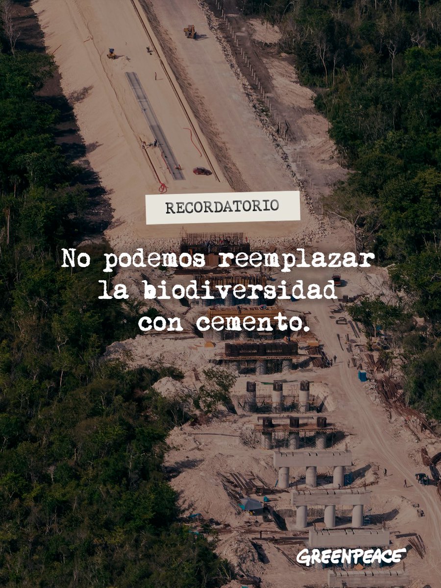 greenpeacemx's tweet photo. Llamar desarrollo o progreso a la destrucción de la tierra, cenotes, árboles y manglares, deja un vacío de preguntas y de biodiversidad en México. ⚠️ https://t.co/MrfupwirQj