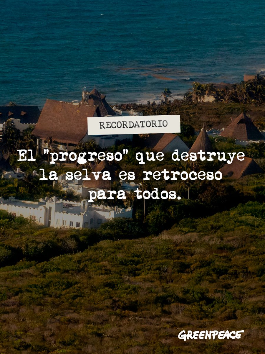 greenpeacemx's tweet photo. Llamar desarrollo o progreso a la destrucción de la tierra, cenotes, árboles y manglares, deja un vacío de preguntas y de biodiversidad en México. ⚠️ https://t.co/MrfupwirQj