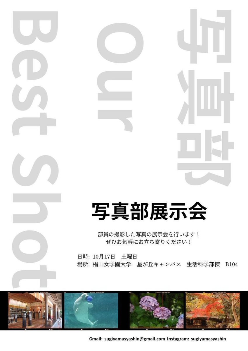 sugidaisai's tweet photo. ぜひお気軽にお立ち寄りください！
ちょっとしたイベントもあるかも.....？

皆さまのご来場をお待ちしています https://t.co/3DGkr3VdfX