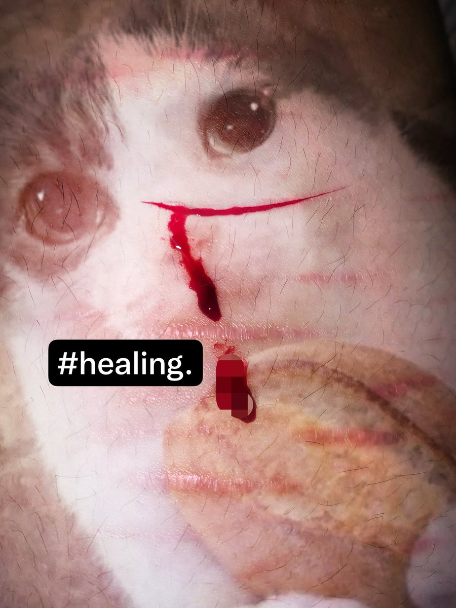 sleepingsquidd's tweet photo. #shtwtt #slittwtt 
TW: SHH
ai generated sfx makeup
holy moly Im shaking like an excited dog https://t.co/3ehdKiE3l4