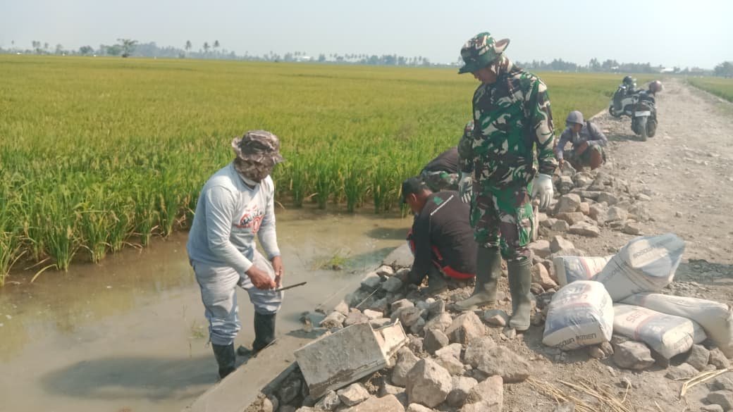 KODIM__1404_PRG's tweet photo. Dalam upaya mendukung kelancaran aktivitas masyarakat, khususnya para petani, Babinsa Koramil 1404-06/Duampanua bersama personel Polsek dan warga melaksanakan kerja bakti pembangunan proteksi jalan tani di Desa Tanratuo, Kecamatan Cempa, Kabupaten Pinrang, Kamis (1/10/2026). https://t.co/w3zozzMSxm