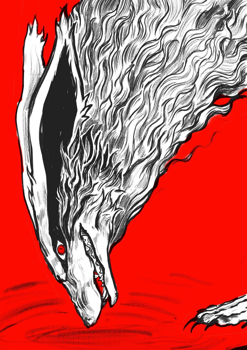 antiDattebayo's tweet photo. Fox https://t.co/LT9mc06Ve4