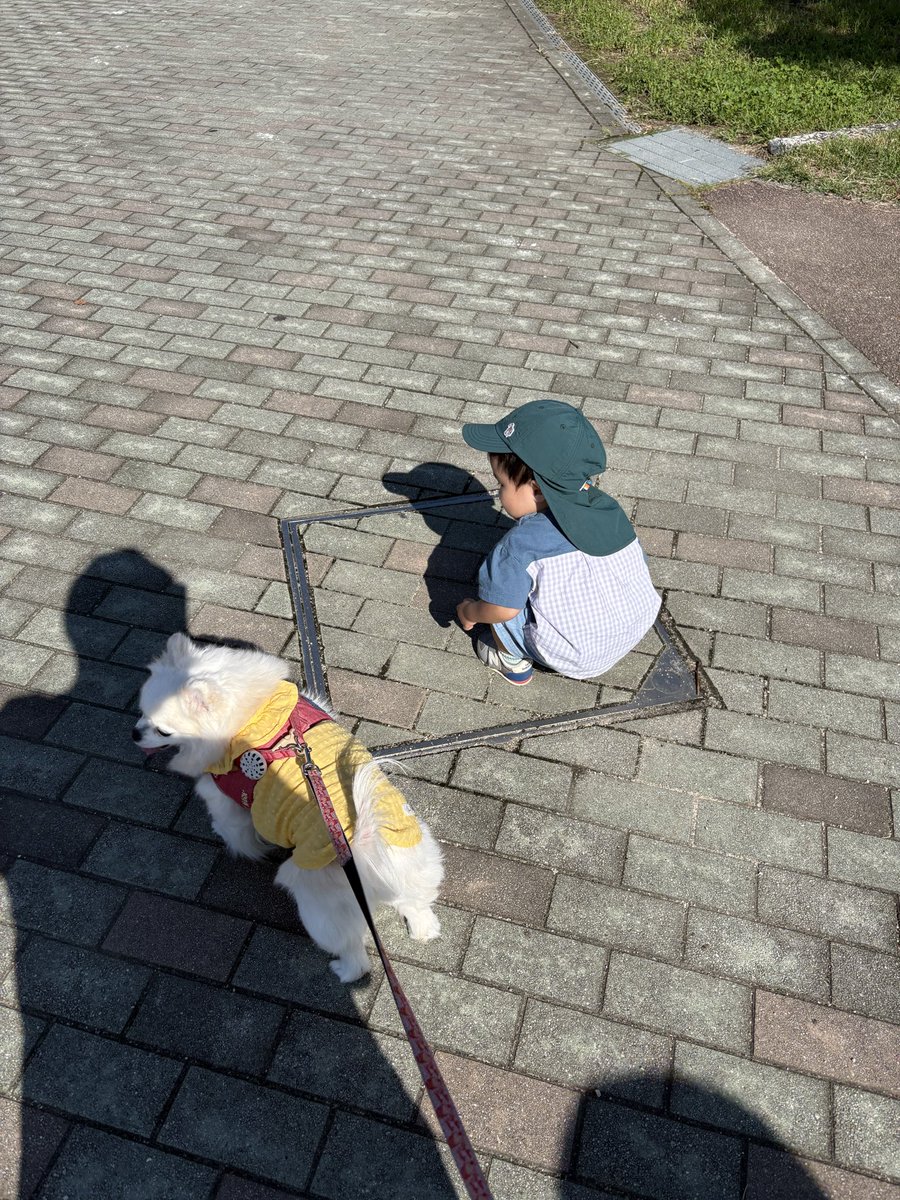 mitsu__mitsuo's tweet photo. 甥っ子と犬withわたし https://t.co/dNbEOe4zFt