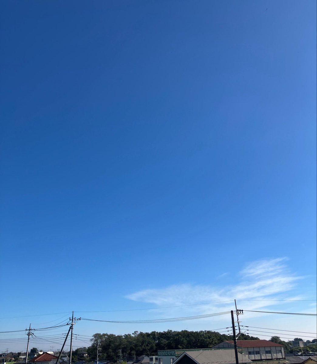 Batsu_Gaming's tweet photo. やっぱ人間、食って寝て太陽浴びることだね🌞
病み上がりで薄ら体調悪かったけど元気になってきた🙂 https://t.co/sJbGIfud8D