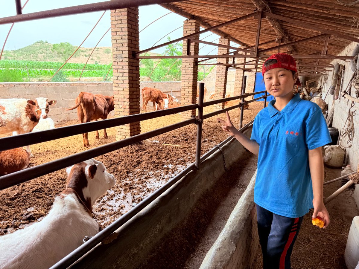 real_there00's tweet photo. [I met Lao Hao who relies on dairy farming for a living during my rural visit, his hard work is truly impressive.] https://t.co/TXnlBiFrjO