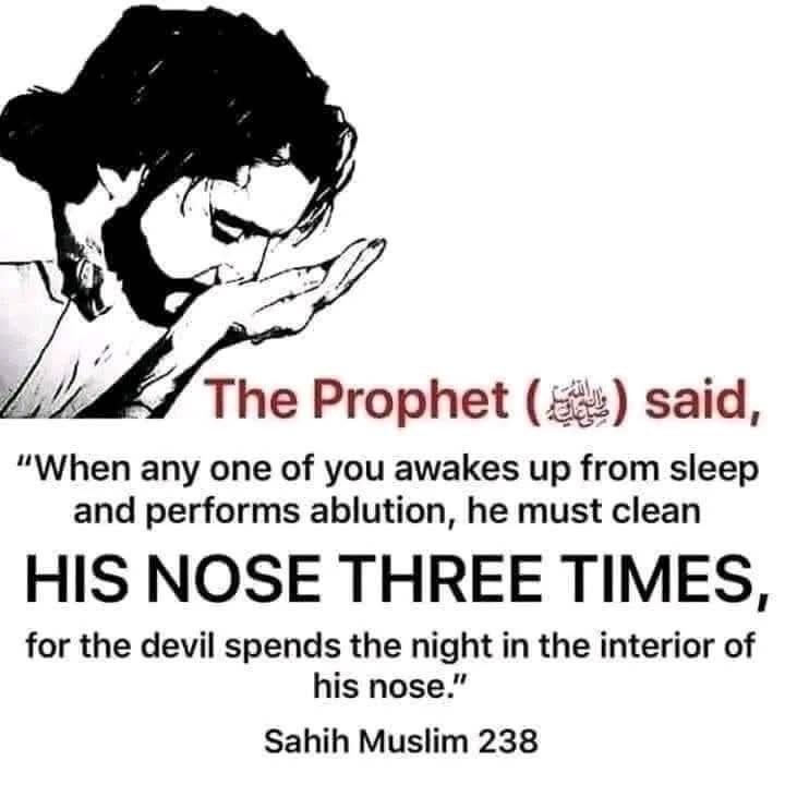 SWelply76432's tweet photo. @ghadda_p Islam ☪️ult ! lol 😂 Sahih ! By the way ! https://t.co/SDU7xspBCQ