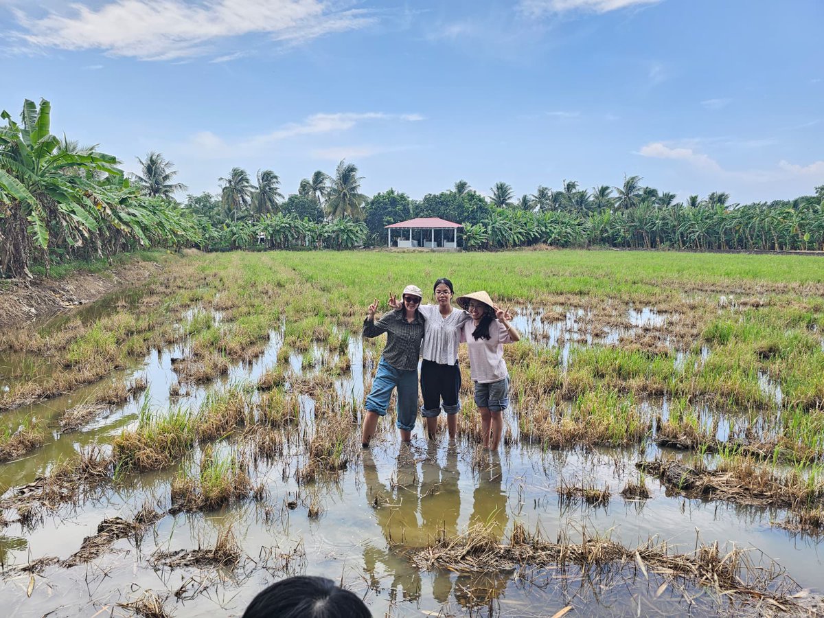CrawfordFund's tweet photo. 2026 Crawford Fund for Food Security Student Awardee Natalie Mullins from @CharlesSturtUni @Gulbali_Inst is testing how organic amendments can improve soil health and rice-farming resilience in Vietnam’s Mekong Delta with Can Tho University. 🌾 🇻🇳

#NextGenAg4D https://t.co/2WLFBHyPBM