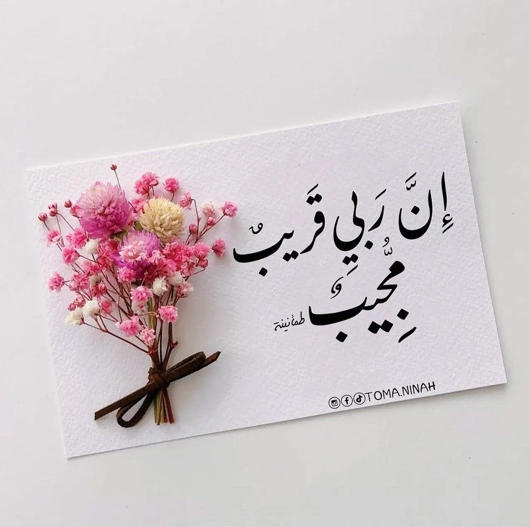 Tsl__1's tweet photo. 🤍🌸

يارب لا خـروا عبادك ساجـدين 
اغفـر لهم ، ما يعلمــون ، و يجهلـون
،
وأحسبني من ضمن الثلاث الفائزين 
الصائمــون القائمـون التائبـون

#اللهم_آمين 🤲 https://t.co/knDCH2UwOt