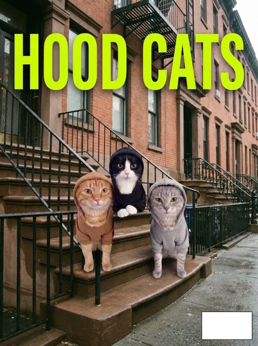 jannayOrdR's tweet photo. @Ministerr All locked in on HOODCATS

0xD17C81cB01d44cC6e822936e8F098960001b47D2 https://t.co/tlF6KGlpVe