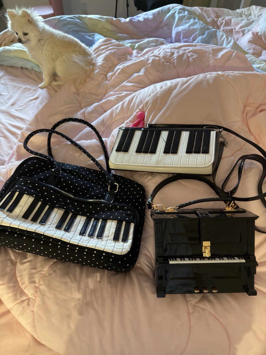 LilyPichu's tweet photo. i love my piano bags 🎹 https://t.co/Rm7GNvoQLz