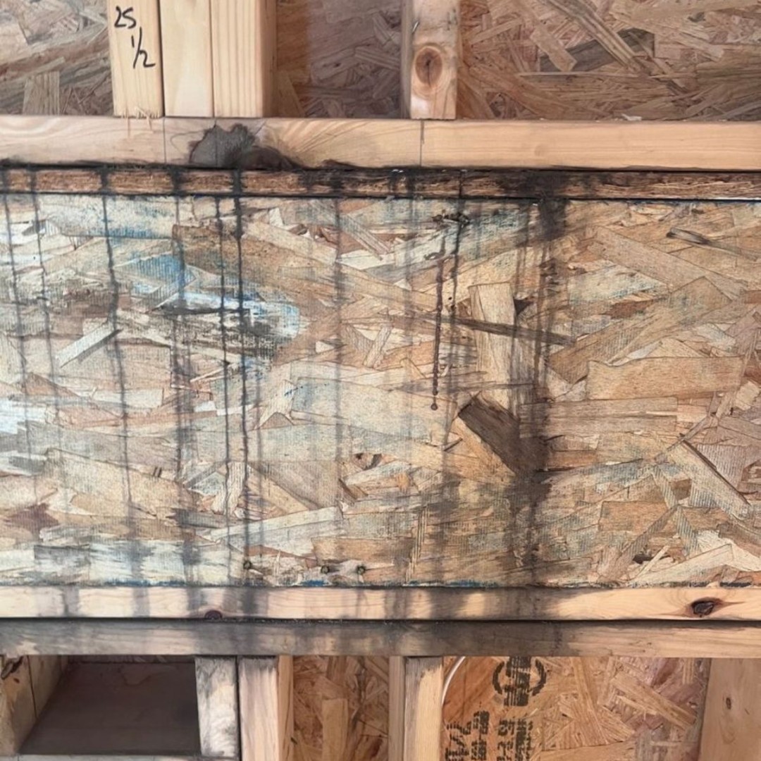 DRYmedic_'s tweet photo. Mold can become an issue before a home is even finished.

DRYmedic is addressing mold found on framing at a 10,000 sq. ft. Nashville new build before construction moves forward.

Need professional mold remediation? 📲 (615) 617-5078

#MoldRemediation #NashvilleTN https://t.co/dv11zq0Nzv