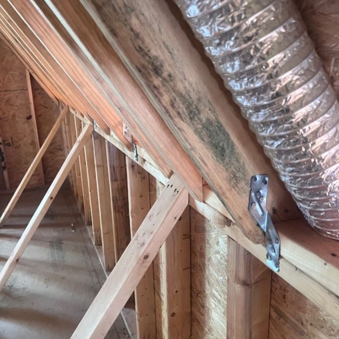 DRYmedic_'s tweet photo. Mold can become an issue before a home is even finished.

DRYmedic is addressing mold found on framing at a 10,000 sq. ft. Nashville new build before construction moves forward.

Need professional mold remediation? 📲 (615) 617-5078

#MoldRemediation #NashvilleTN https://t.co/dv11zq0Nzv