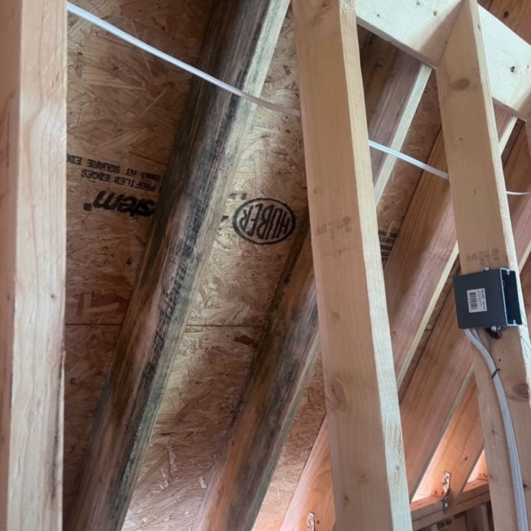 DRYmedic_'s tweet photo. Mold can become an issue before a home is even finished.

DRYmedic is addressing mold found on framing at a 10,000 sq. ft. Nashville new build before construction moves forward.

Need professional mold remediation? 📲 (615) 617-5078

#MoldRemediation #NashvilleTN https://t.co/dv11zq0Nzv