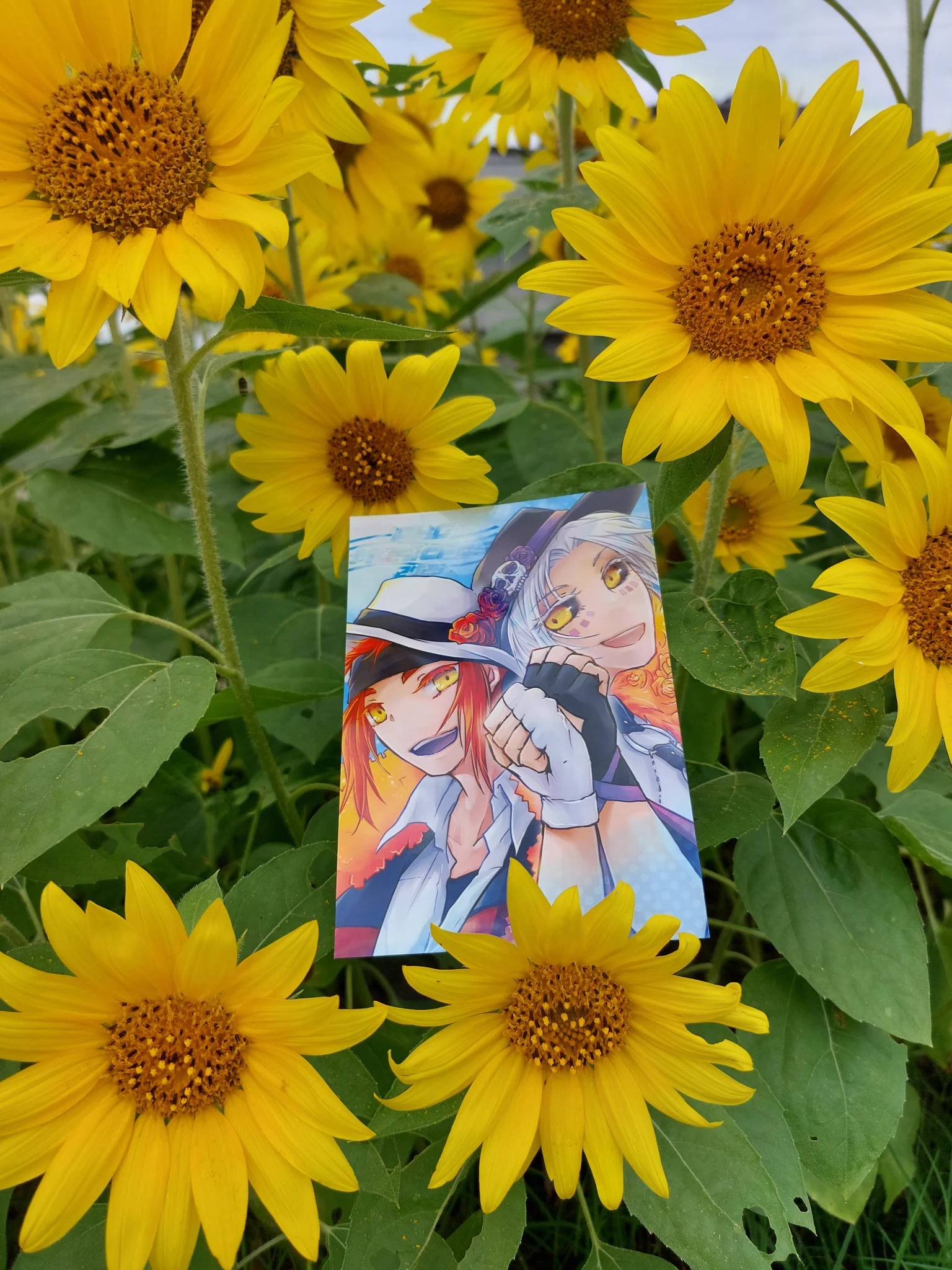 神無月香 on X: 