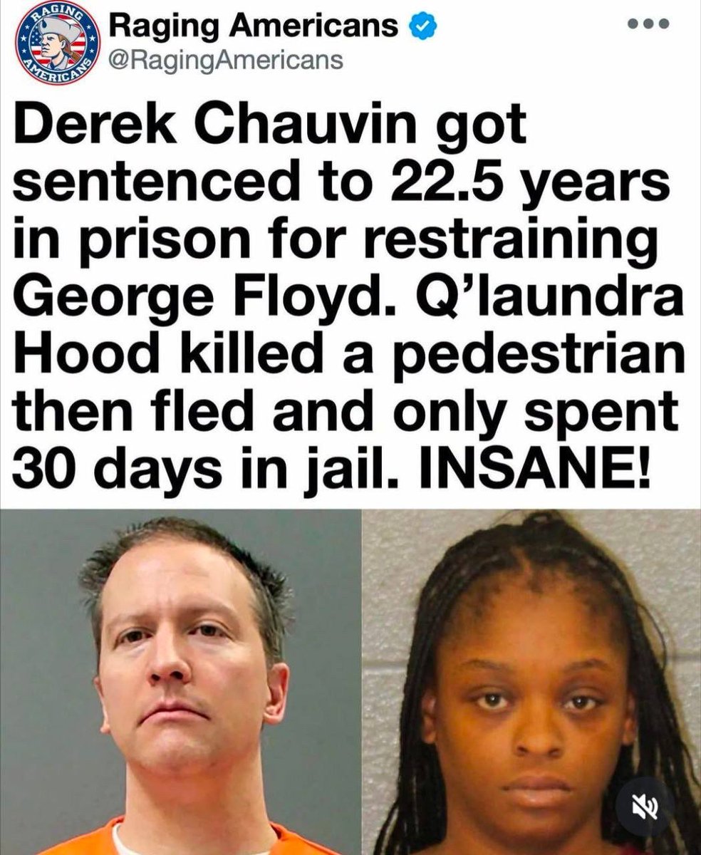 RacistMemeDepot's tweet photo. It’s past time we FREE DEREK CHAUVIN 

Hey @realDonaldTrump pardon this man he did nothing wrong https://t.co/YrrC34ZTOR