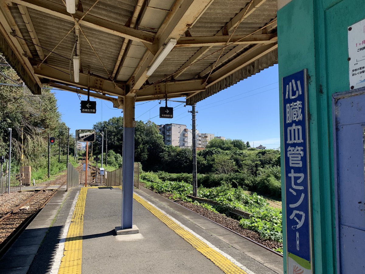 walrus413's tweet photo. 先週の入院について、退院が日曜日だったことから当日に精算ができず今日になりました。今日は気持ちよい秋晴れで、病院の周りにあるリハビリパークを散策しました。 https://t.co/FOYbv3twvZ
