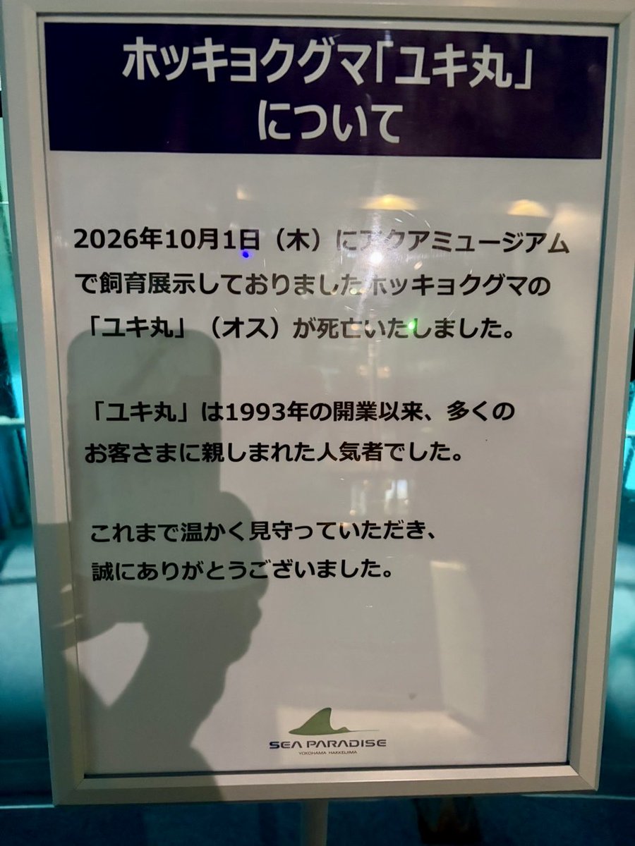yukimoemoe's tweet photo. 亡くなりました。

#ユキ丸　#ユキマル　#八景島シーパラダイス　#polarbear https://t.co/XyT2AixVKf