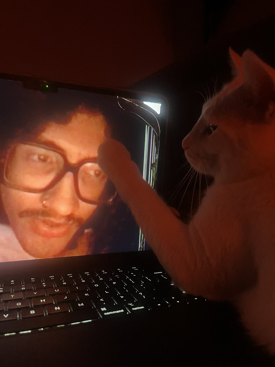 martillodeldios's tweet photo. my girlfriend’s cat is in love with me https://t.co/RZ7nlbGROl