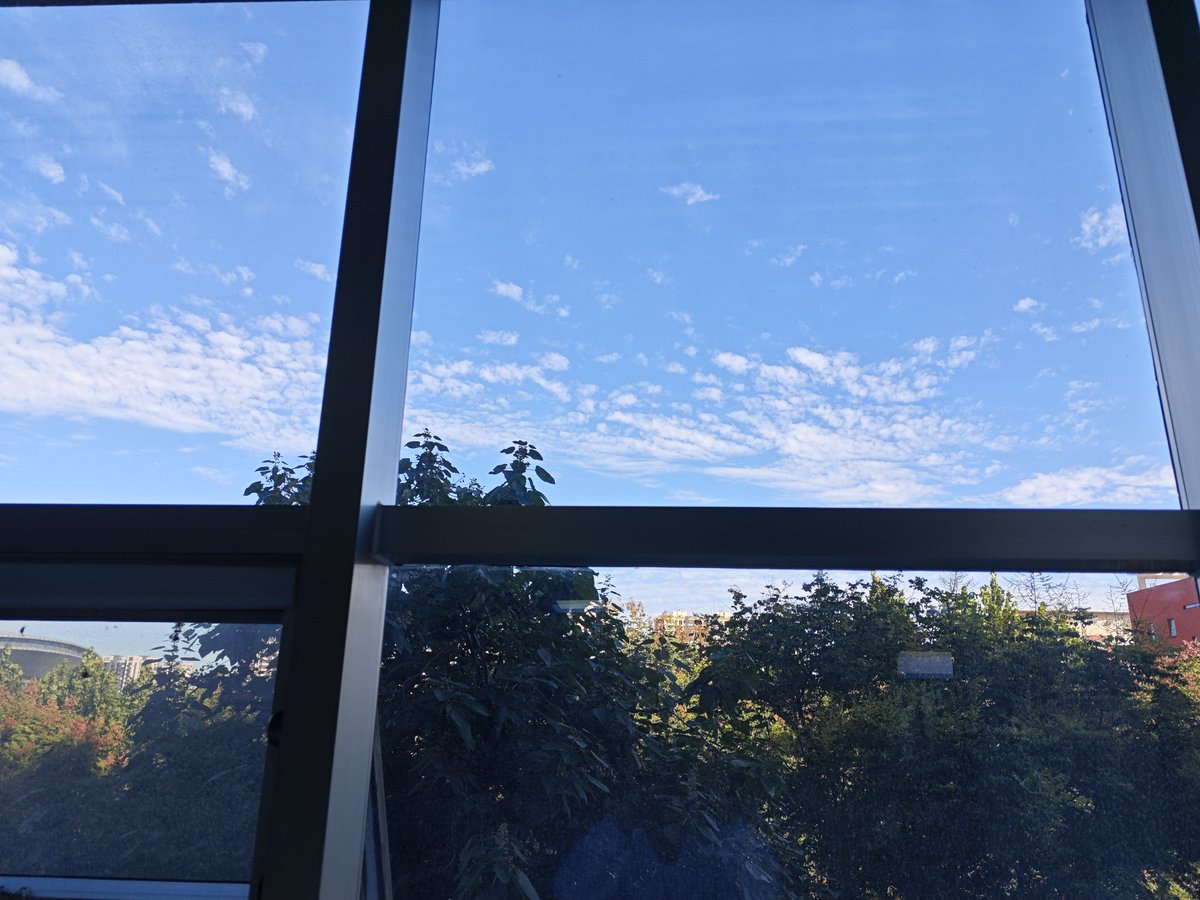 Zcloud_owo's tweet photo. 今天天气还挺好，就是好冷。以及我为什么国庆节还要上班。 https://t.co/xijKaK6Itn
