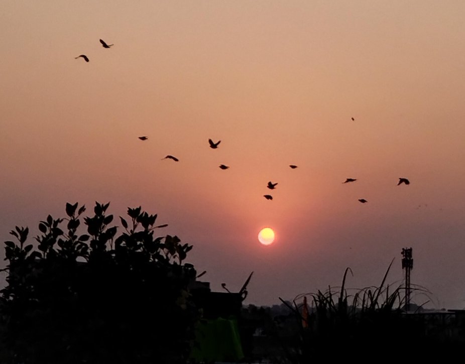 DrAlkaRay2's tweet photo. A golden day for India....
Have a wonderful day 
आपका दिन मंगलमय हो 
#ॐ_नमो_भगवते_वासुदेवाय 
Day 1451 of being homeless and battling on....
#JusticeforAlkaRay 
#theme_pic_India_Sunrise https://t.co/30gDf9m2GU