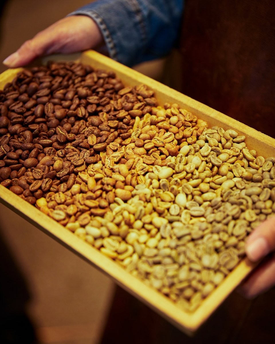 roasterytokyo's tweet photo. ☕10月1日は、「国際コーヒーの日」。

私たちが何気なく飲んでいる一杯のコーヒー。
その一杯は、約70か国の生産地で大切に育てられたコーヒー豆が、焙煎され、バリスタによって丁寧に抽出され、ようやく皆さんのもとへ届きます。

ロースタリー 東京では、コーヒーが生まれる瞬間を五感で体験することができます。

立ちのぼる焙煎の香り。
バリスタが一杯ずつ抽出する所作。
目の前で完成していく一杯。

国際コーヒーの日をきっかけに、いつもの一杯の"その先"を感じに、
ぜひスターバックス リザーブ® ロースタリー 東京へお越しください。