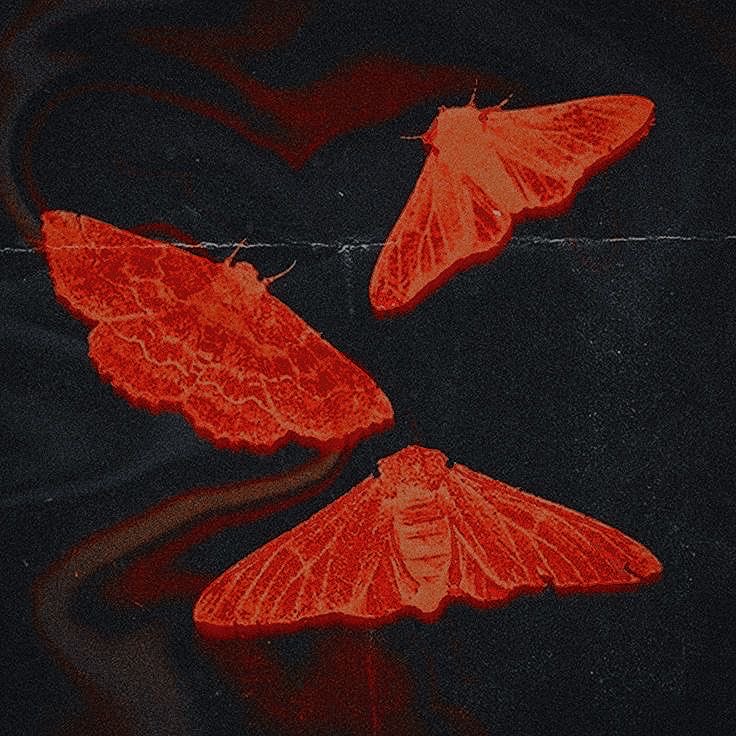 dawnwalkoen's tweet photo. #promotwt &amp; #moothunt ! 🦇

۶ৎ Vincent/Coen, fluid︱24 y.o.︱MDNI

𑣲 Horror &amp; lovecraftian︱Simulator &amp; comfy
𑣲 Silent Hill︱RE︱Dawnwalker
𑣲 OW︱HSR︱DL︱DBD︱FoM
𑣲 Marvel Rivals︱Fortnite︱TADC
𑣲 IWTV︱Far-Fetched︱Outlast Trials
&amp; more!
 
♡ &amp; ↻ appreciated .ᐟ https://t.co/Stb2Esp6Al