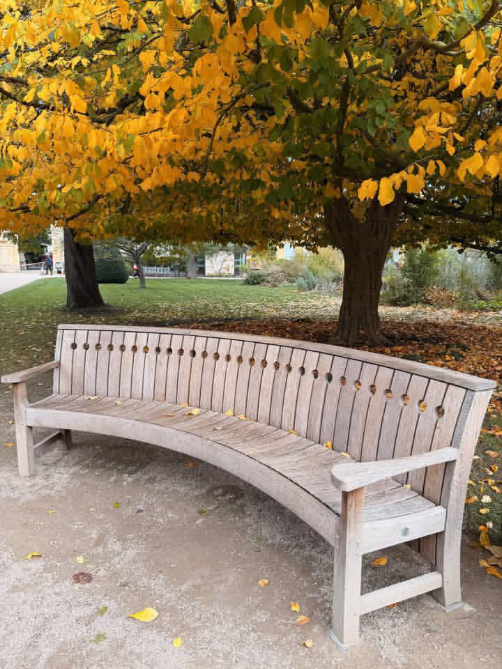 WorldCityX's tweet photo. Oxford, dressed for Autumn 🍂 https://t.co/Bi54Hdazyx