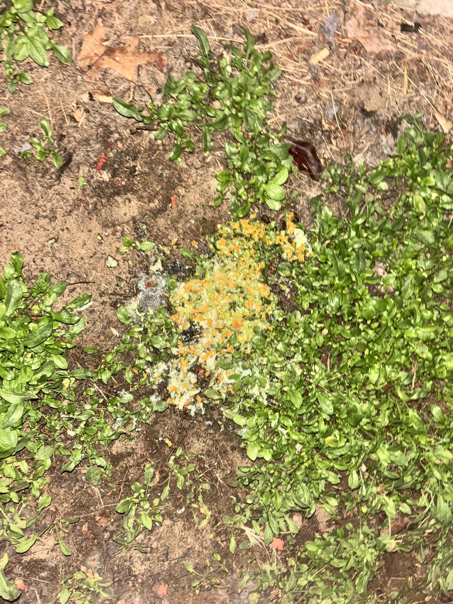 addbo247574's tweet photo. sneak peak 😉 

#emetophilia #emeto #vomit #puke https://t.co/Z2DQRFker6