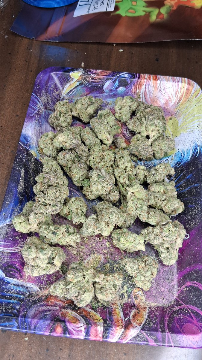 DaN4_ThE2_MaN_0's tweet photo. Yellow Zushi
Indica Leaning Hybrid
Smell in the bag is Strong & LOUD. Lemon Zest, Pine and Sweetness. Ground up increases the Pungent Lemon/Pine almost a Mint Smell. Taste Smooth & Amazing! Like Sweet Citrus & Pine with a lingering Peppery Creamy  taste.  🔥10/10🔥 Would buy again!!!
Im a big fan of Citrus & Pine. I knew i would like it as soon as i smelled it! Pictures dont do it justice.
🔥💯🤟🤙
Happy 💚 420💚
@JLittys @lala420tokes2