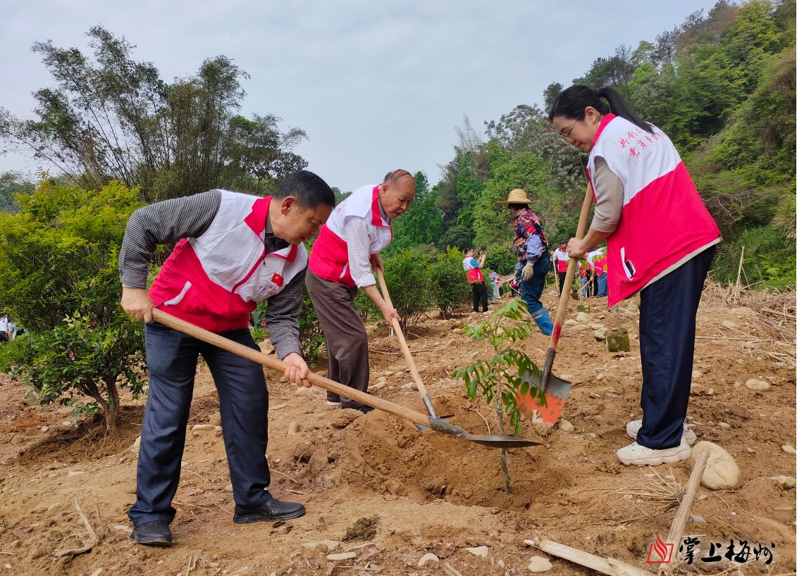 the_april93's tweet photo. [Let’s compete, get to know each other, plant new hopes together! 简洁英文推文]， https://t.co/PQSrAgO0UU