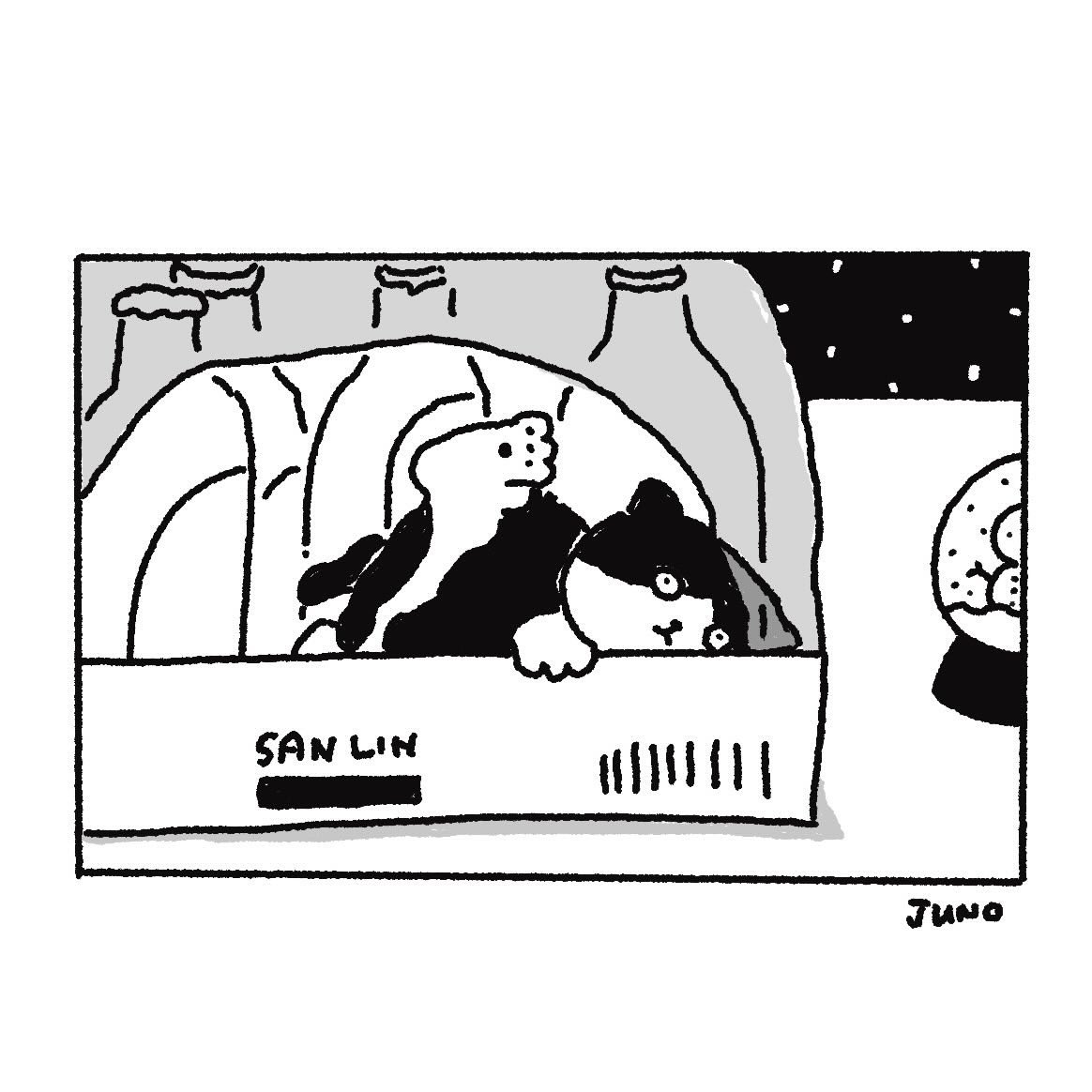 xmenjunoAppJP's tweet photo. 🫧
 #イラスト #猫 https://t.co/jKtJuBEa5Y