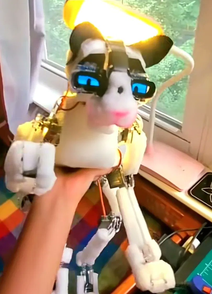 overflowoxo's tweet photo. @mastern0de3 there is also this cute CATBOT  in NVIDIA dataset that sits at 13k!!!

5C7JRjLwW3GvEe1EP6ppok5o8BbcgWFBqLBF3KpjngKH https://t.co/jvCdjetL7M