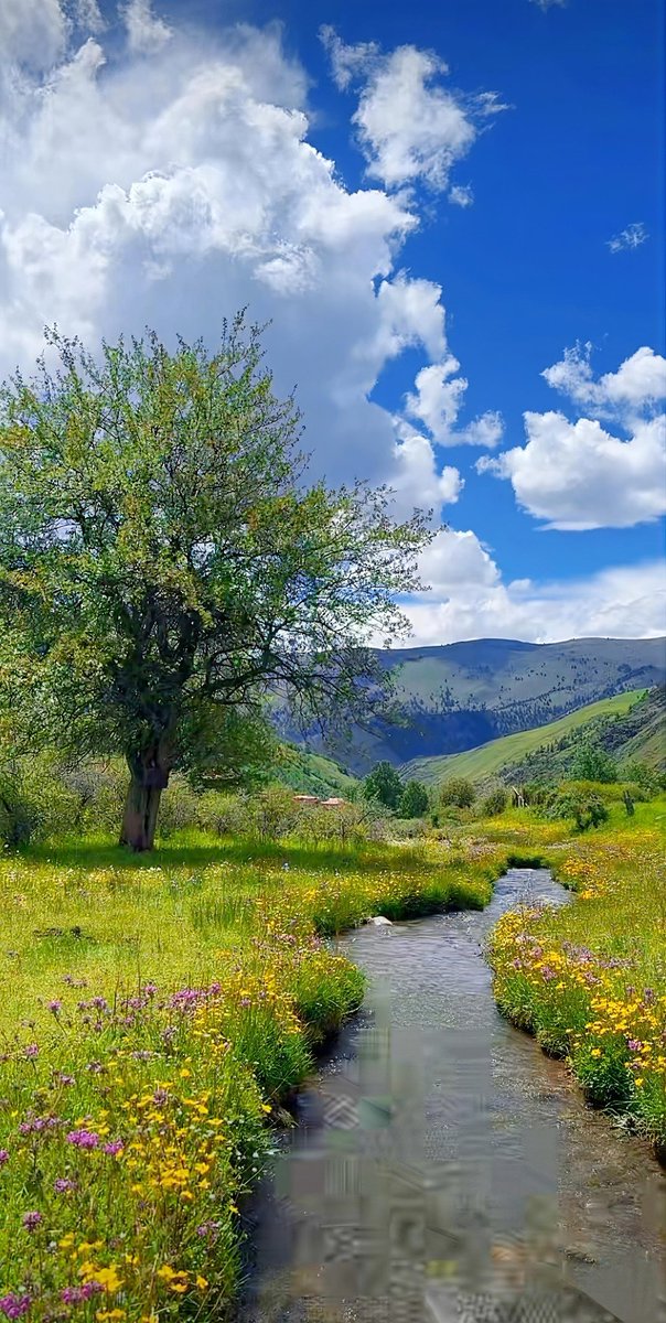 b_ulkner_75_fce's tweet photo. By the low riverbank, the wet fields here with silt and brine hold quiet rustic charm. https://t.co/CdwnXEgILQ