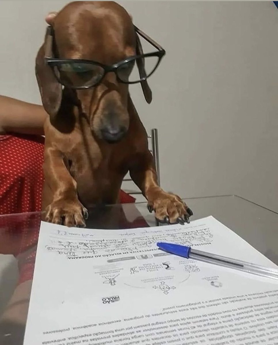 LIP67W's tweet photo. الجامعي خلال أكتوبر ونوفمبر وديسمبر https://t.co/XQq1k9uEmA