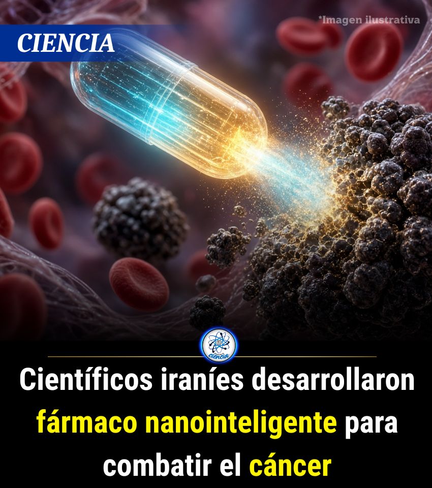 EnsedeCiencia's tweet photo. Científicos iraníes han desarrollado una nueva versión nanointeligente del medicamento Bortezomib, cuyo objetivo es el de aumentar la efectividad de los tratamientos contra el cáncer. Así como reducir los daños secundarios causados por las terapias, sobre todo en tejidos sanos https://t.co/TWslEYeq9A