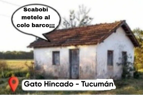 ggulugrl's tweet photo. estaba haciendo esto cuando scabobi efectivamente metió al colo barco PERO LO SACÓ A NICO PAZ https://t.co/A1m3zPxruK