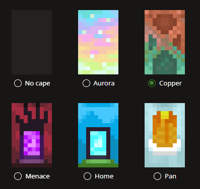 bittterss's tweet photo. just found out u have to go to bedrock and equip capes for it to appear on java . https://t.co/XIVD42pg08
