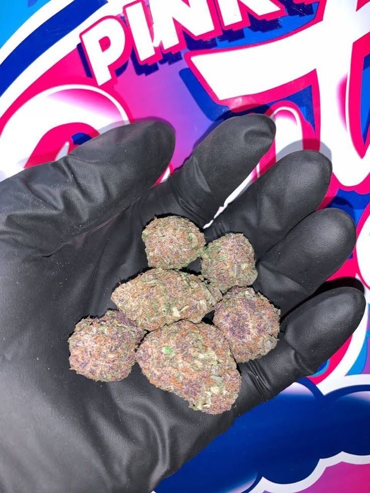 Maui_exotics's tweet photo. Pink Runtz
π Hybrid
Zkittlez Γ Gelato
THC: 25.59%
1 lb: $1,180
Top effects: happy π relaxed π euphoric β¨
Top flavors: candy π¬ fruit π cream π¦
#PinkRuntz #Runtz #Zkittlez #Gelato #THCAFlower #Cannabis https://t.co/UTrUEkOHPz