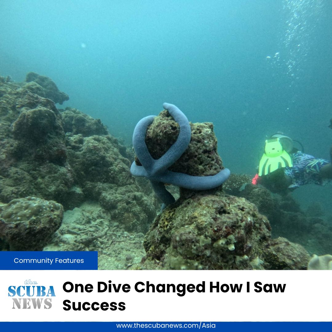 TheScubaNewsAS's tweet photo. Sometimes a first dive changes more than your relationship with the ocean.
Kanav's encounter with a sea star in the Andamans made him question what he'd been taught about success. 

🤿 👉 https://t.co/JaUSWLwgL8 https://t.co/JFCdkRiKWr