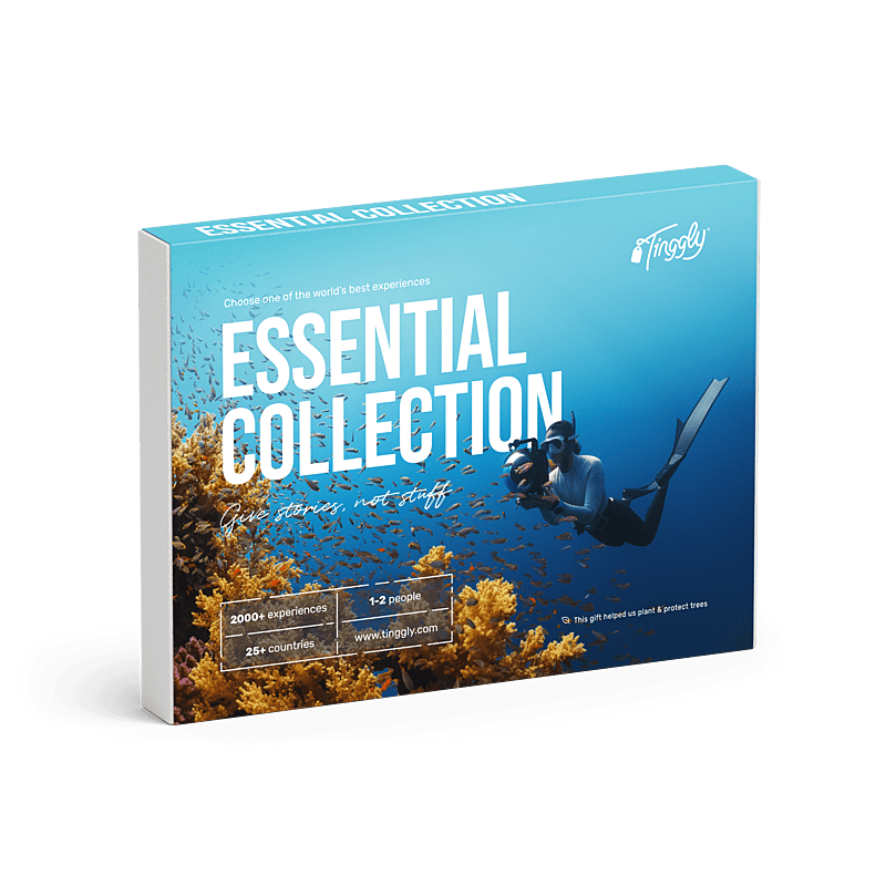 DiverBliss's tweet photo. Looking for a gift for a scuba diver? Check out Tinggly- and choose from hundreds of dive experiences you can gift an ocean lover! - https://t.co/Hild9pDZmO
#aff #scubadivinggifts #scubadiver #tingglygift https://t.co/18kzeY7IWN