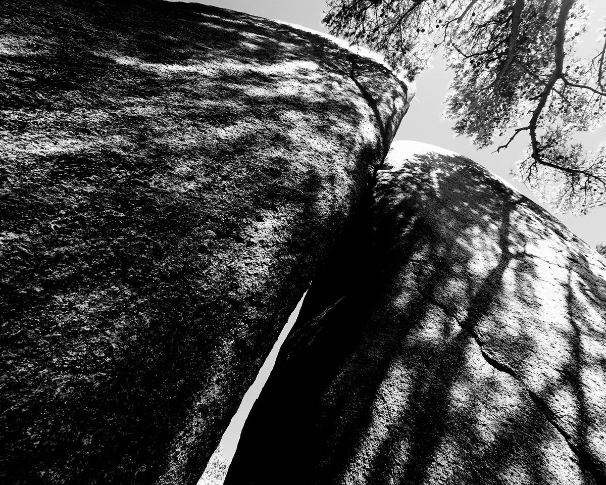 Ygch19X's tweet photo. #monochrome 
#モノクロ  
#photography https://t.co/SAwPUkj9I9