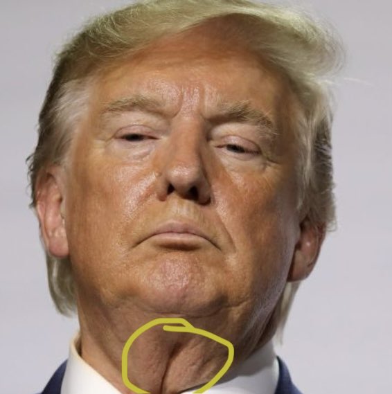k_a_m_65's tweet photo. @Mollyploofkins #PussyNeckPedophile4547. https://t.co/jrt52PDrc8