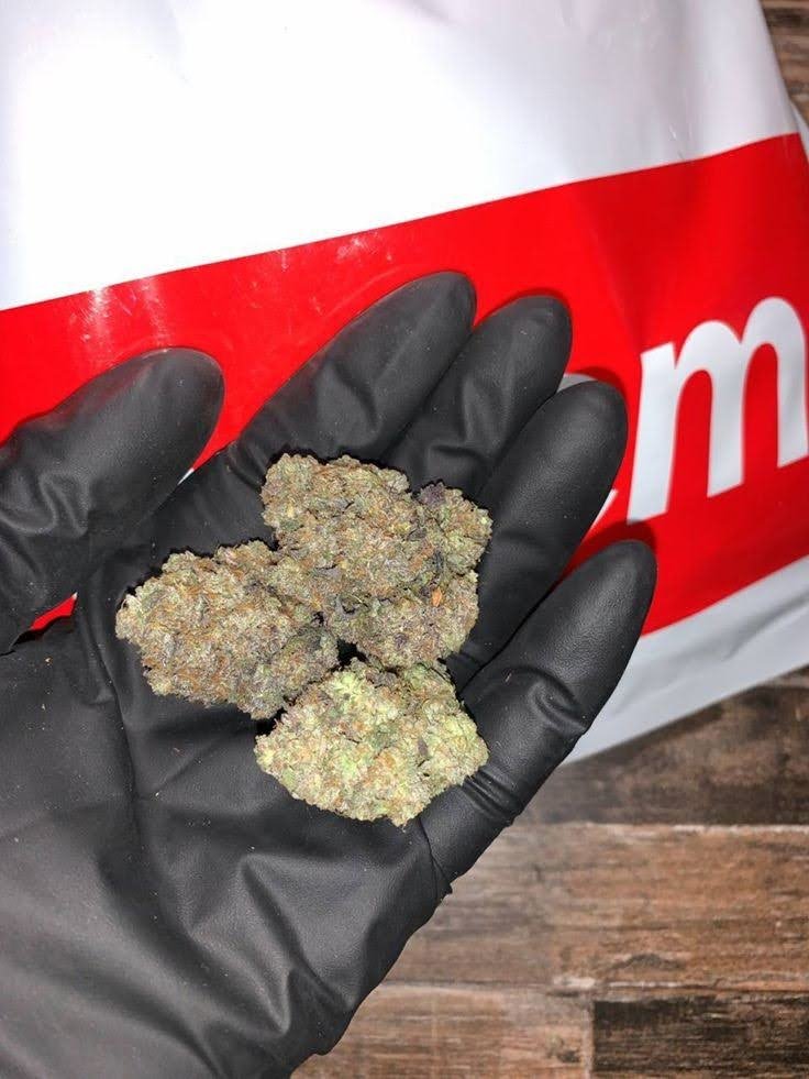 Maui_exotics's tweet photo. Wedding Cake π π°ββ
π Indica-dominant hybrid
Triangle Kush Γ Animal Mints
THC: 20β25%
1 lb: $900
Top effects: relaxed π happy π sleepy π΄
Top flavors: vanilla π° sweet π¬ earthy π
#WeddingCake #AnimalMints #TriangleKush #Indica #THCAFlower #Cannabis https://t.co/DVjDmmi6Jr